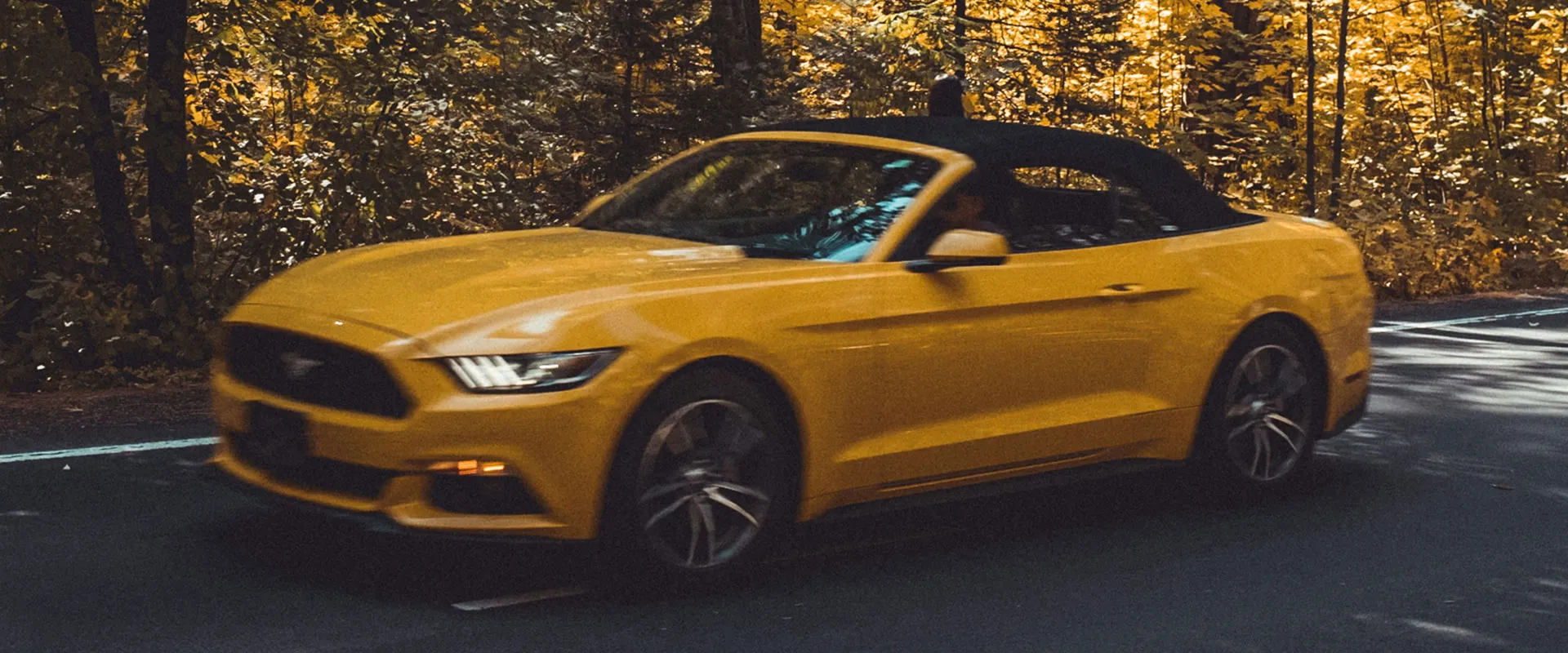 Ford Repair and Service near York, PA